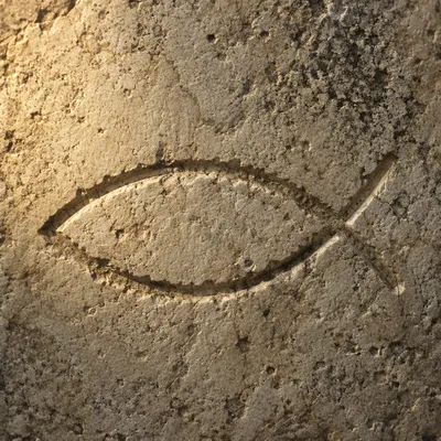 Ancient Ichthys Symbol Carved in Limestone