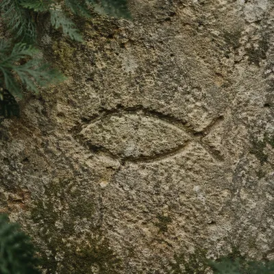 Ancient Ichthys Carving on Weathered Stone