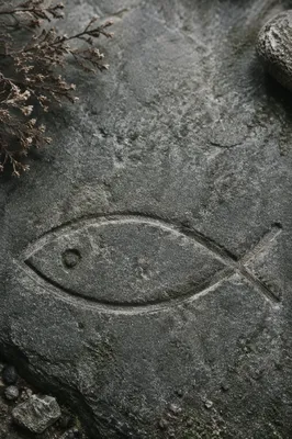 Ichthys Fish Carved in Weathered Stone