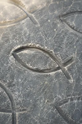 Carved Ichthys Symbols on Weathered Stone