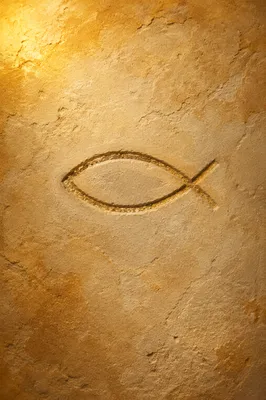 Ichthys Fish Carved in Weathered Sandstone