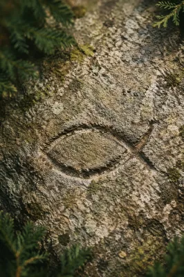 Ancient Ichthys Carving on Weathered Stone