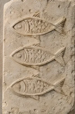 Ancient Ichthys Fish Carvings on Limestone