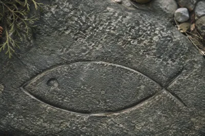 Carved Ichthys Symbol on Weathered Stone