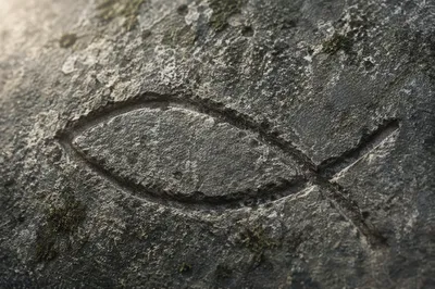Weathered Stone Ichthys with Evergreen Moss