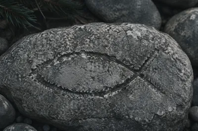 Weathered Ichthys Carving on Ancient Stone