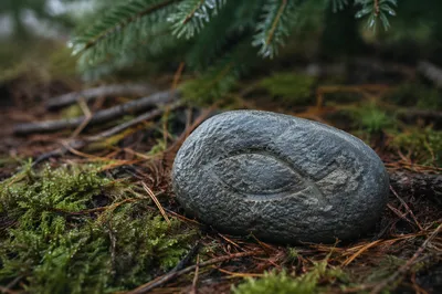 Ichthys Symbol Carved on Forest Stone