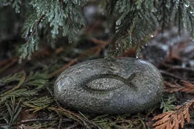 Ichthys Stone Among Evergreen Needles