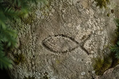 Ancient Ichthys Carving on Weathered Stone
