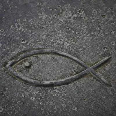 Ichthys Fish Carving on Weathered Stone