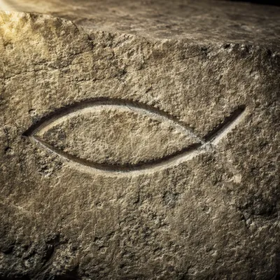 Ancient Ichthys Carving on Weathered Limestone