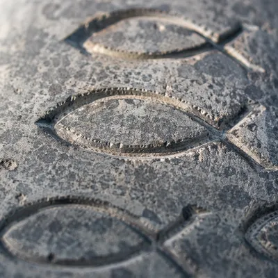 Carved Ichthys Symbols on Weathered Stone