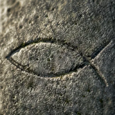 Ancient Ichthys Carving on Weathered Stone
