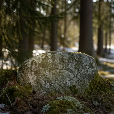 Weathered Ichthys Stone in Evergreen Grove