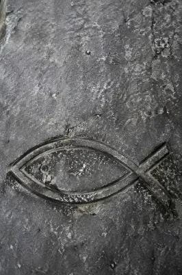 Ichthys Fish Carving on Weathered Stone