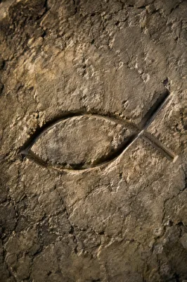 Ancient Ichthys Carving on Weathered Limestone