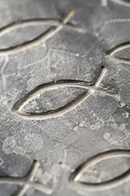 Weathered Stone Ichthys Carvings in Macro