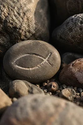 Carved Ichthys Stone in Warm Sunlight