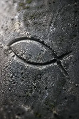 Ancient Ichthys Carving on Weathered Stone