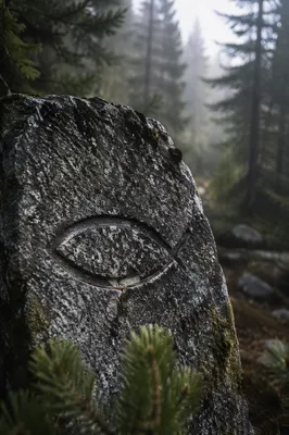 Ancient Ichthys Carving in Evergreen Grove