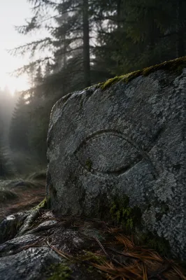 Ancient Ichthys Carving in Evergreen Mist