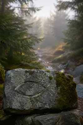 Carved Ichthys Stone on Evergreen Path