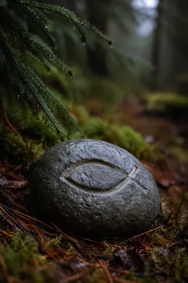 Ichthys Symbol Carved on Forest Stone
