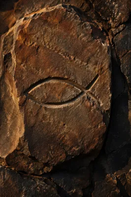 Ancient Ichthys Symbol Carved in Stone