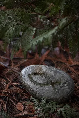 Ichthys Carved Stone on Evergreen Forest Floor