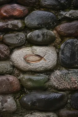 Carved Ichthys on Rainy River Stone