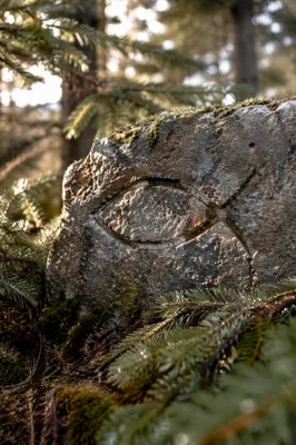 Ancient Ichthys Carving on Evergreen Forest Stone