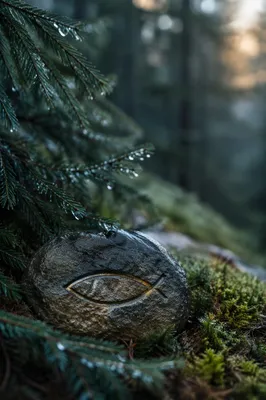 Ichthys Carved Stone in Evergreen Woodland