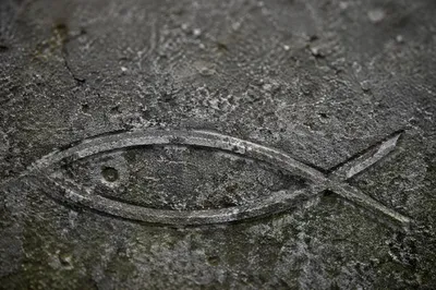 Ichthys Fish Carving on Weathered Stone