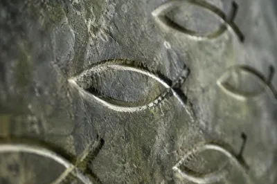 Carved Ichthys Symbols on Weathered Stone