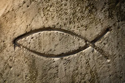 Ichthys Fish Carved in Ancient Limestone