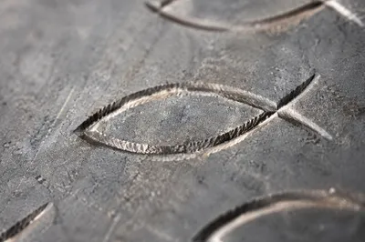 Weathered Stone Ichthys Carvings in Macro