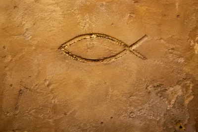 Ancient Ichthys Carving on Sandstone Wall
