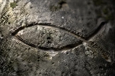 Carved Ichthys Symbol on Weathered Stone