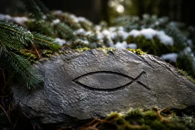 Ancient Ichthys Carving Among Evergreen Moss