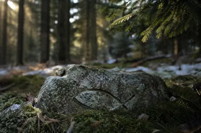 Ancient Ichthys Carving in Evergreen Moss