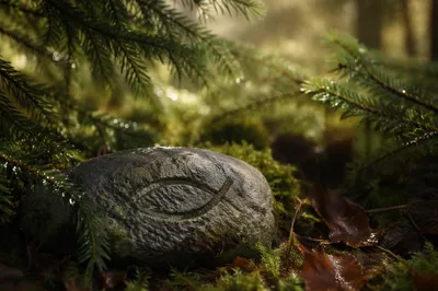 Ancient Ichthys Carving Among Evergreen Needles