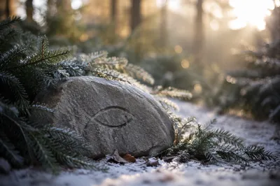 Carved Ichthys Stone on Frosted Prayer Path