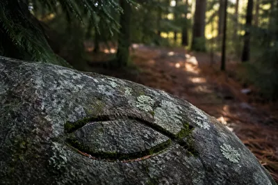 Carved Ichthys Symbol on Mossy Forest Stone