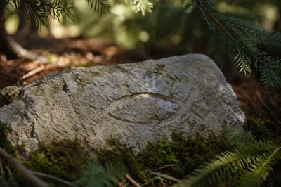 Ancient Ichthys Carving on Evergreen Forest Stone
