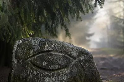 Ichthys Symbol Carved on Forest Stone