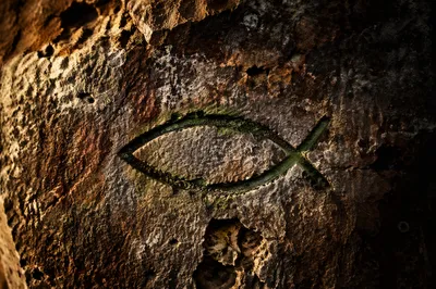 Ancient Ichthys Fish Symbol in Stone