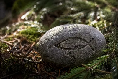Carved Ichthys Stone on Evergreen Forest Floor