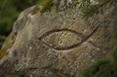 Ancient Ichthys Carving on Weathered Stone