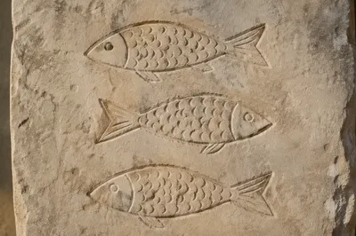 Ancient Ichthys Fish Carvings on Limestone