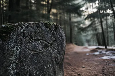 Ancient Ichthys Carving by Evergreen Path